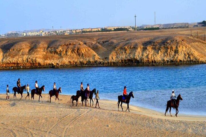 3 timmar Sunrise Horse Riding Beach och Desert från Marsa Alam