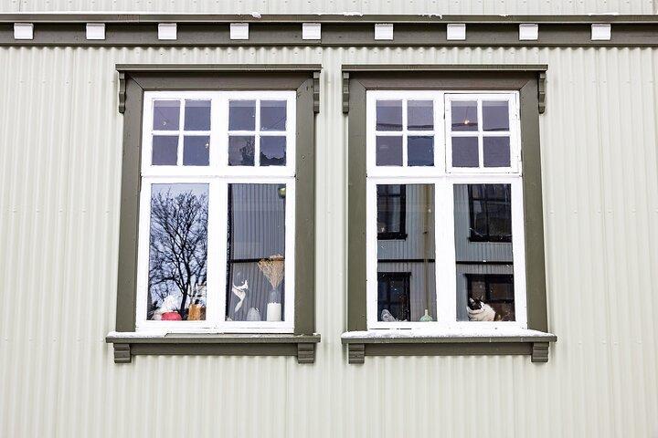 The Reykjavik Cat Walking Tour