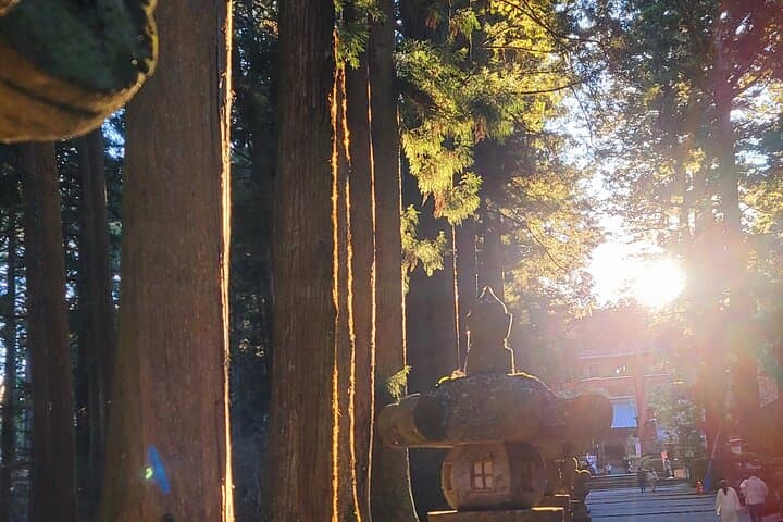 Mount fuji and Hakone Full day private sightseeing tour