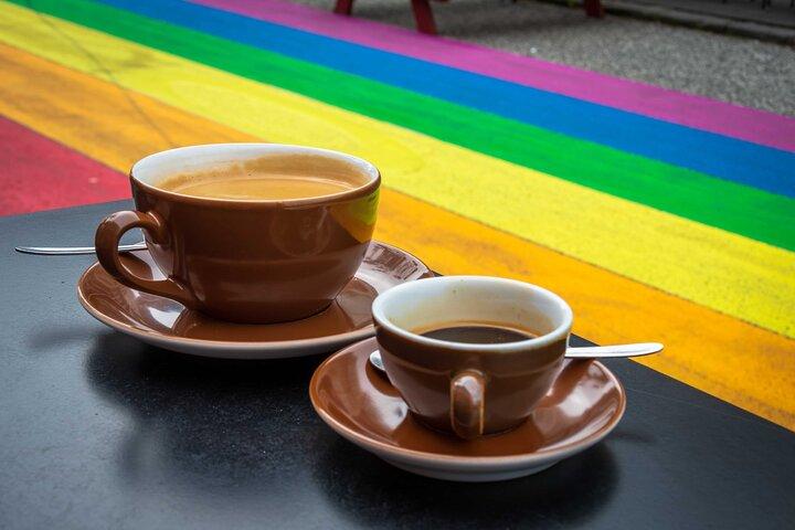 プライベートレイキャビクLGBTQシティウォーク