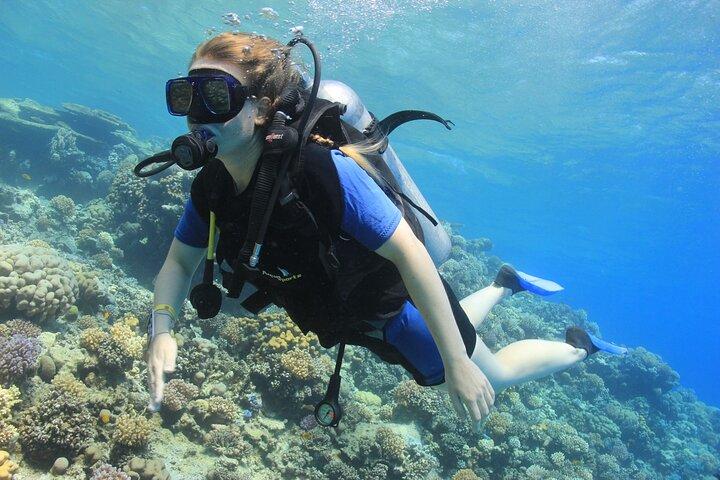 Corso PADI in acque libere con trasferimento - Sharm El Sheikh