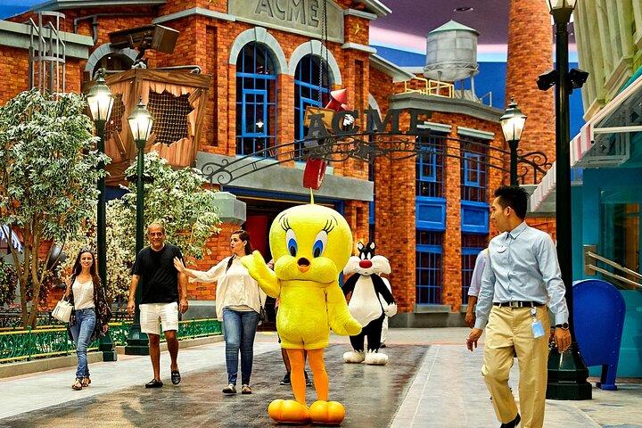ドバイからアブダビへの送迎サービス付きワーナーブラザーズチケット