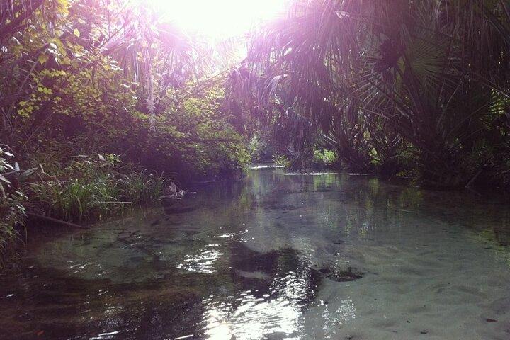 Silver Springs Self Guided Clear Kajakudlejning