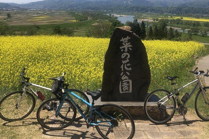 長野のレンタル自転車でスノーモンキーパークを探索しましょう。