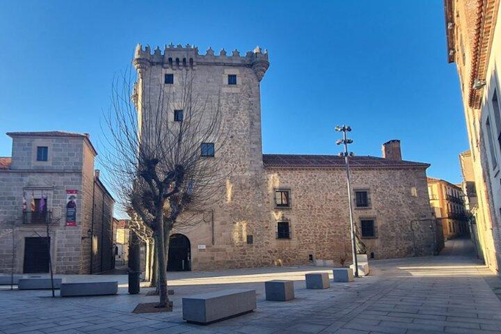 Tour privato Avila e Segovia in minivan da Madrid