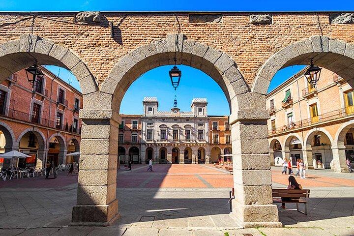 Tour privato Avila e Segovia in minivan da Madrid