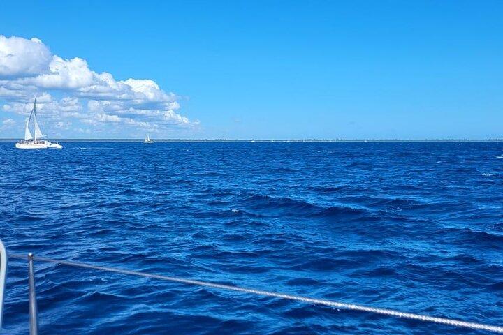Excursión de día completo a la Isla Saona desde Punta Cana Todo Incluido