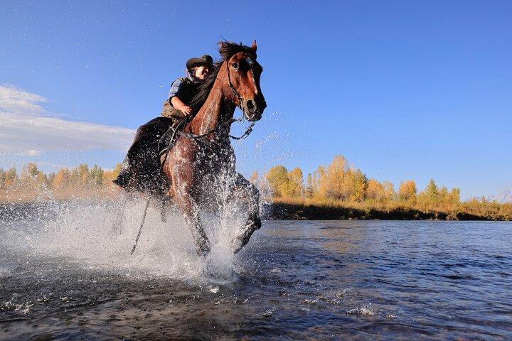 Dinner Cookout Ride på Heart Six Ranch
