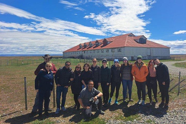 King Penguin Nature Reserve - Private Tour