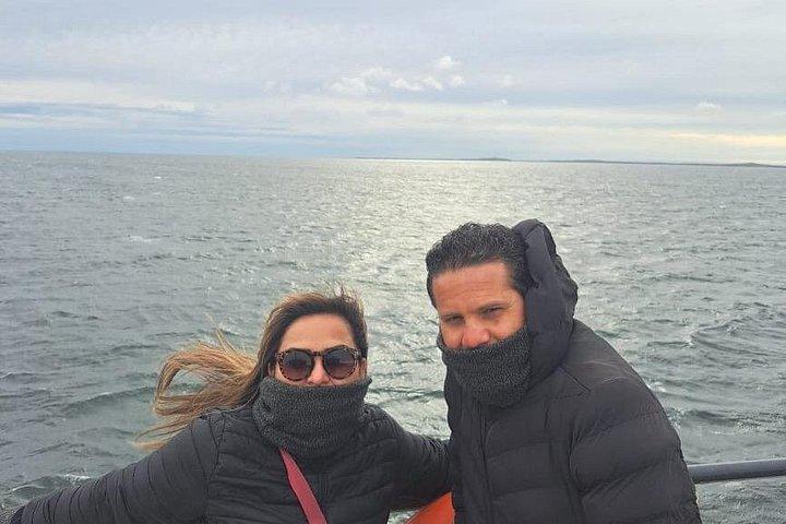 King Penguin Nature Reserve - Private Tour