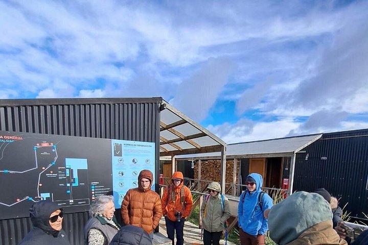 King Penguin Nature Reserve - Private Tour