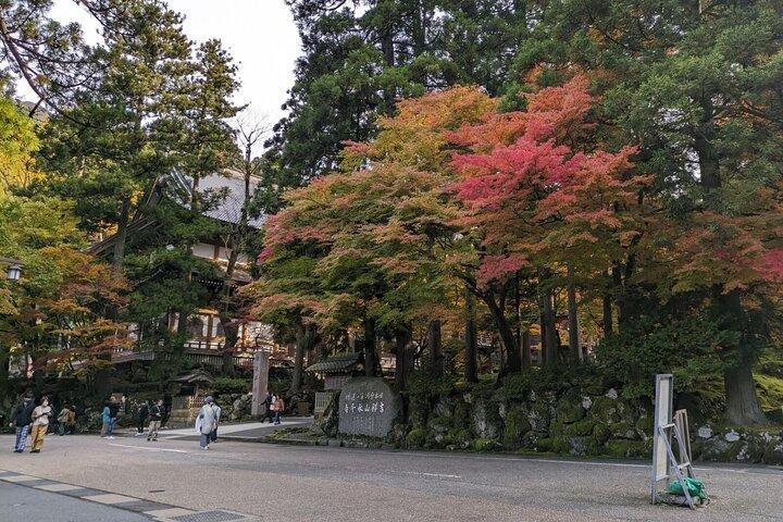 永平寺と福井市城下町の 1 日ツアー