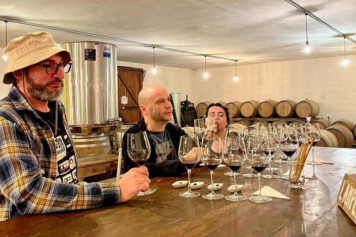 Margaux & Médoc: halbtägige Privattour in einem Oldtimer