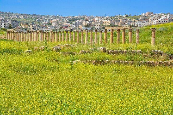 Histroy Tour em Jerash Ruínas e Castelo de Ajloun