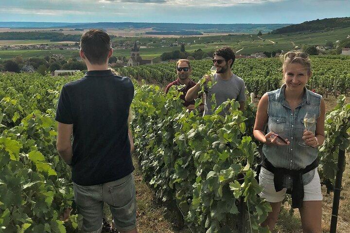 Die Geheimnisse des Champagners von einem leidenschaftlichen Winzer (Englisch)