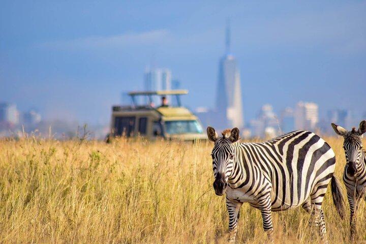 Half-Day National Wildlife Safari Private Tour in Nairobi