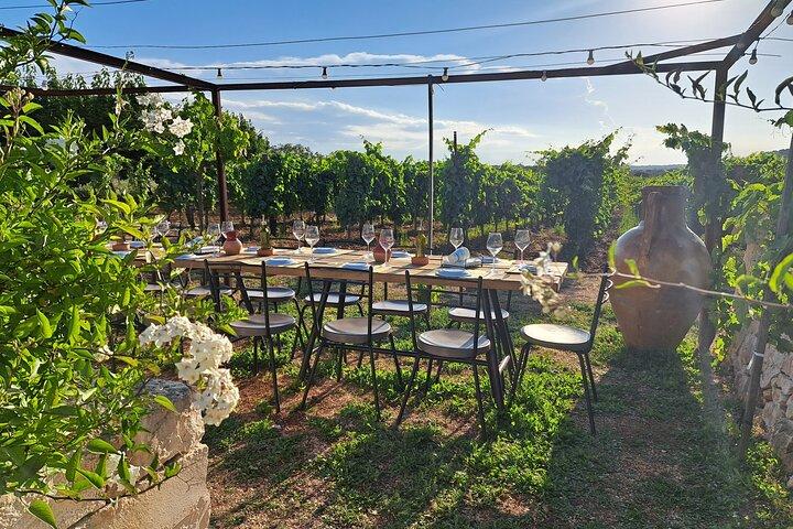 Dîner dans le vignoble avec dégustation de vins et promenade
