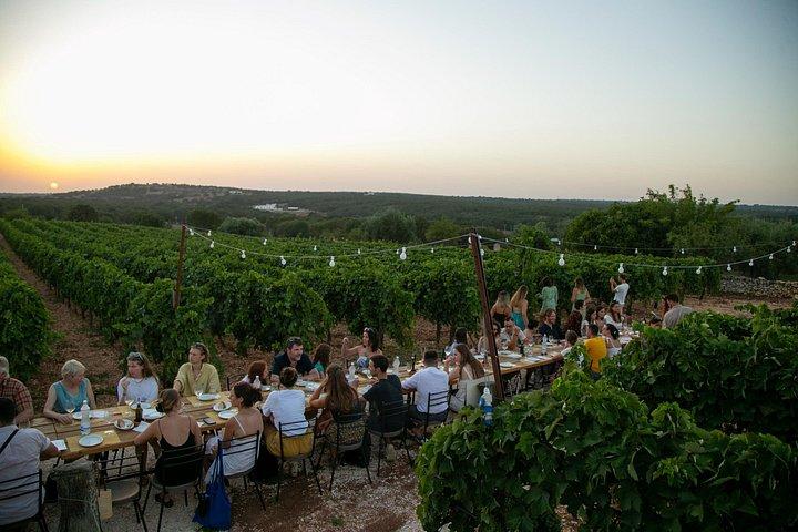 Apulian Cooking Class with Dinner in the Vineyard and Wine