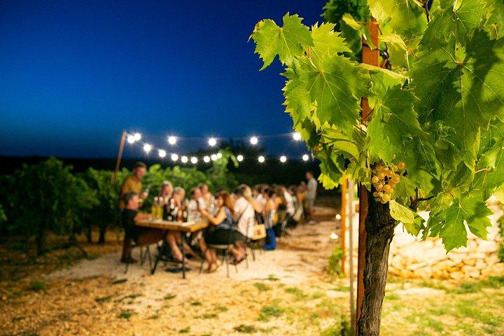 Apulian Cooking Class with Dinner in the Vineyard and Wine