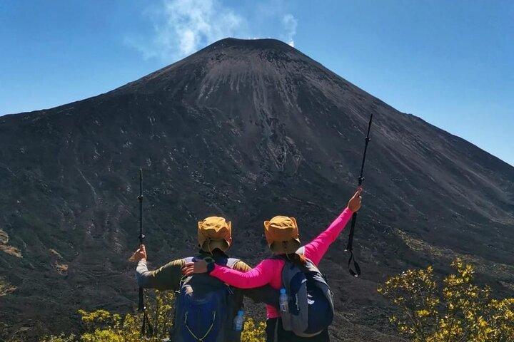 グアテマラシティからのパカヤ火山日帰り旅行