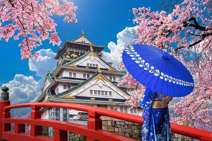 Privédagtour in Osaka en Kyoto met charterauto