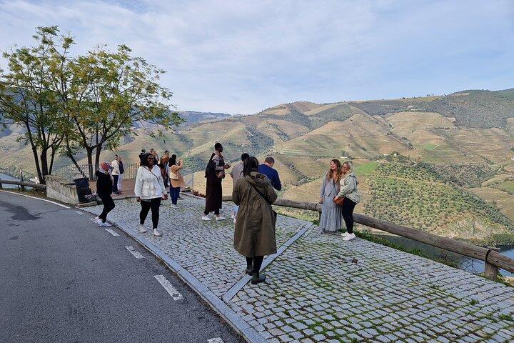 Van Porto Private Tour Douro Valley twee wijnhuizen, lunch en boot.