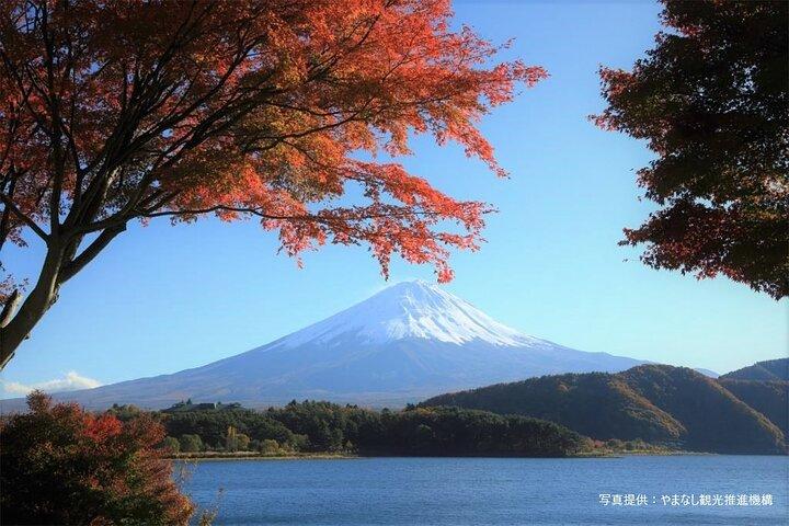 富士山と大石公園＆新倉山塔バスツアー（ランチ付き）
