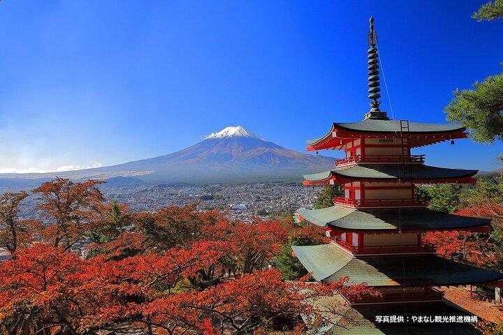 Excursão de ônibus ao Monte Fuji, Parque Oishi e Arakurayama Pagoda com almoço