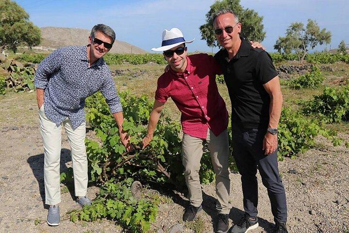 Santorini Sunset Wine Tour com vistas de vinícola Santo