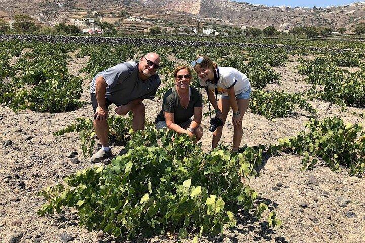 Santorini Private Sunset Wine Tour com degustações e tapas