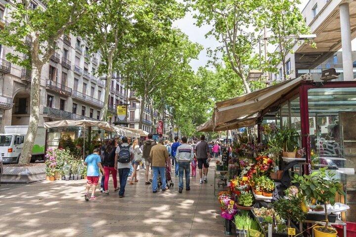 Tour privato del quartiere gotico di Barcellona
