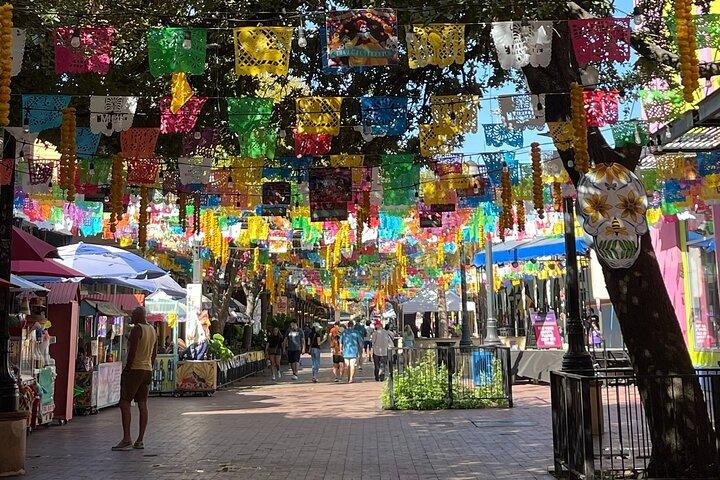 Visite en tramway à arrêts multiples à San Antonio