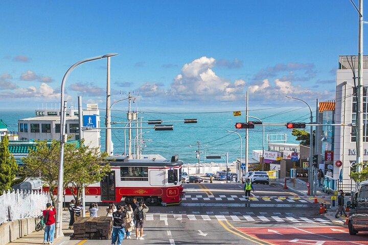 Max Out Busan: Highlight Top Attractions One Day Tour