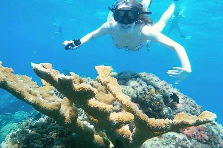 Excursion privée de plongée avec tuba à El Cielo Cozumel, repas, boissons et plage