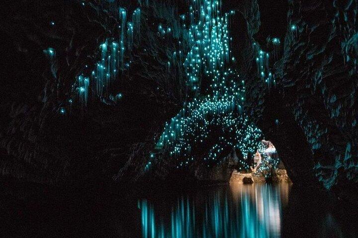 Tour de un día de Auckland a Waitomo Glowworms, Kiwi House y Blue Springs