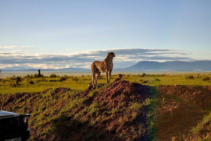 Visite de 7 jours du lac Amboseli, Nakuru et Masai Mara
