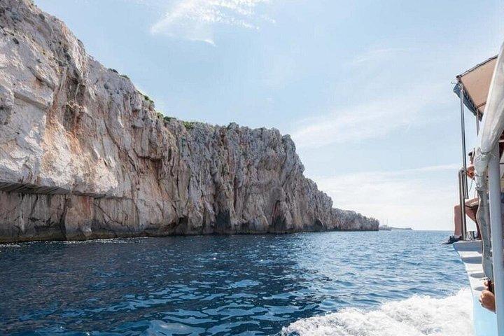 コルナティ国立公園諸島マナ島とコルナト島のボートツアー
