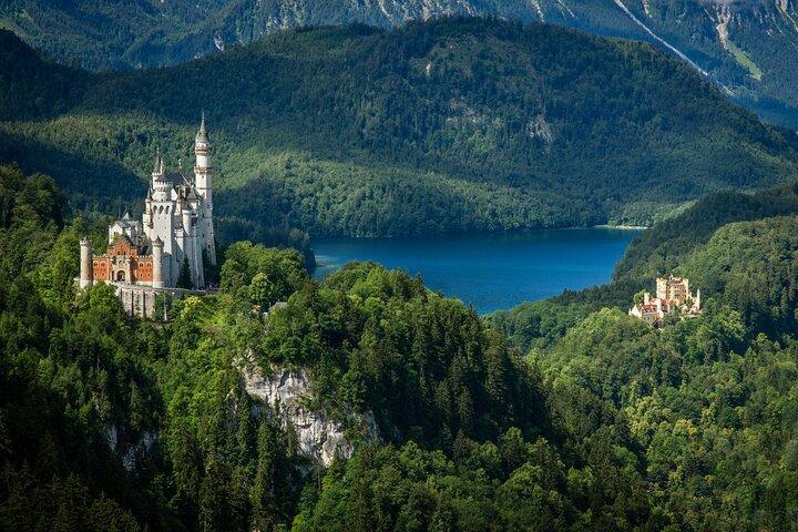Spring køen over Neuschwanstein Castle Tour fra Hohenschwangau