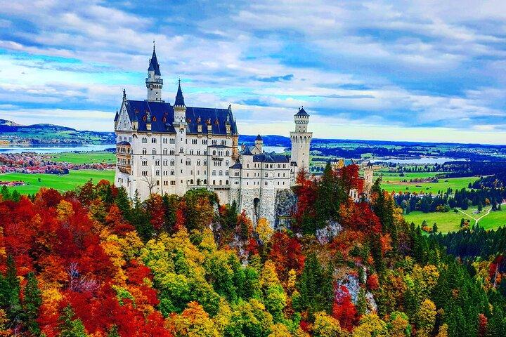 Spring køen over Neuschwanstein Castle Tour fra Hohenschwangau