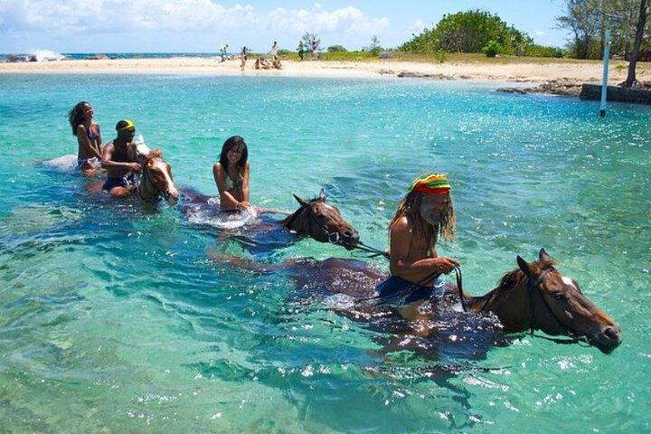 Passeio a cavalo e natação Jamaica/Montego Bay