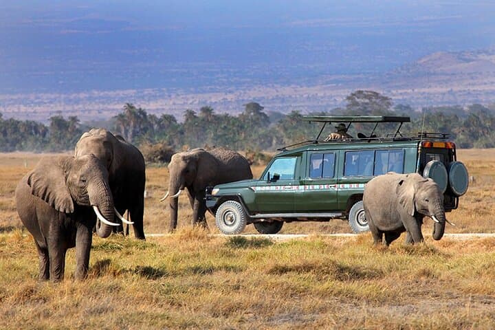 Top Rated 3 Day Masai Mara Safari – Game Drives and Scenic Views