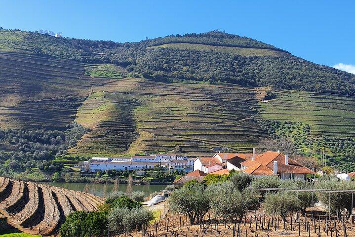 Tour naar de Douro-vallei vanuit Porto 2 wijnhuizen, lunch en boot