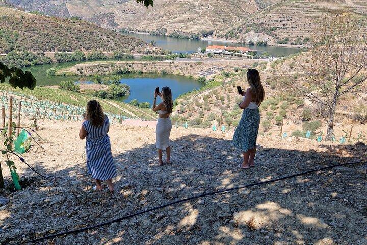 Tour naar de Douro-vallei vanuit Porto 2 wijnhuizen, lunch en boot