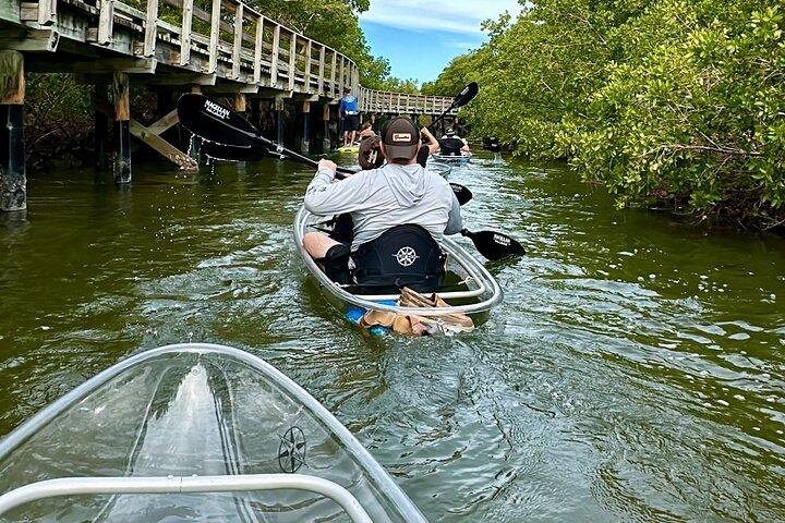 Cancella Ecotour in kayak alla Robinson Preserve a Bradenton, Florida
