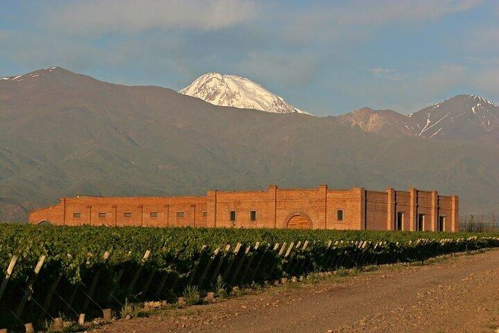 Excursion dans les caves de luxe de la vallée d'Uco Mendoza