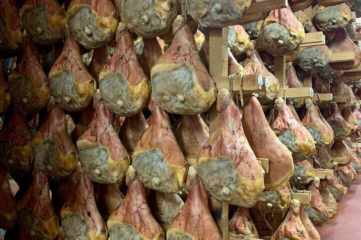 Vale do Alimento: Parmesão, Prosciutto, Balsâmico, Vinho, Tour de Dia da Ferrari