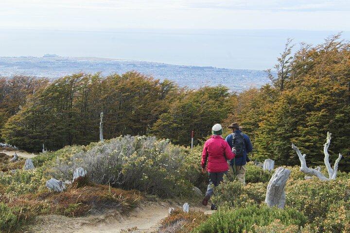 Privat fulddags Patagonian Forest vandretur
