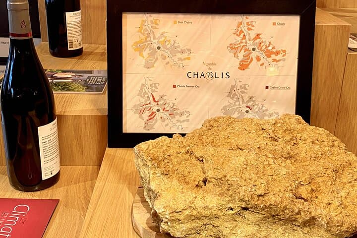 Chablis 20 Exquisite Wines Tasting Trip in Small-Group from Paris