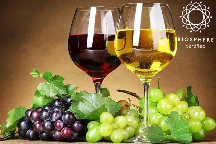 Signature Vin Tastings, Skywalk, Natur 4x4 åbent tag ekspedition