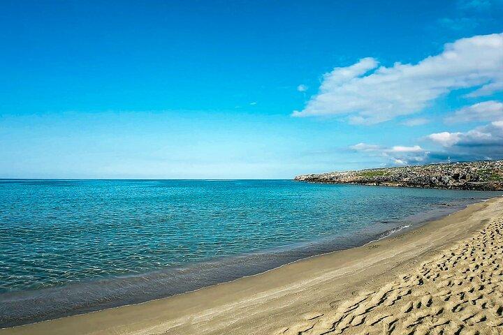 Privat 3 timmars Beach Hopping i Mykonos